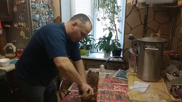 Когтеточка за пять минут.... смотреть онлайн