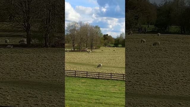 Beautiful places for relax / Milton Keynes/ UK смотреть онлайн