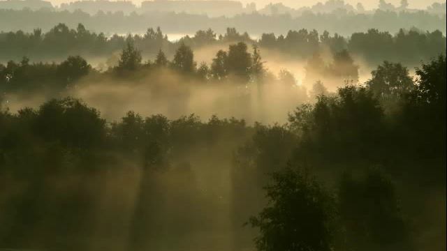 Martinu: Elegy for Violin and Piano смотреть онлайн