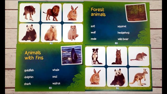 Настольная игра "The animal kingdom" (английский язык) смотреть онлайн