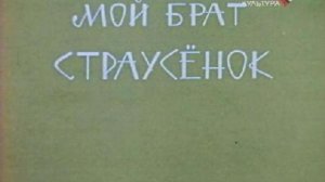 Мой брат, страусёнок.