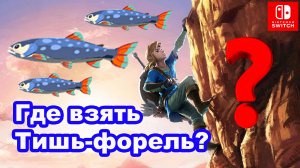 Где взять Тишь-форель The Legend of Zelda Breath of the Wild. Nintendo Switch