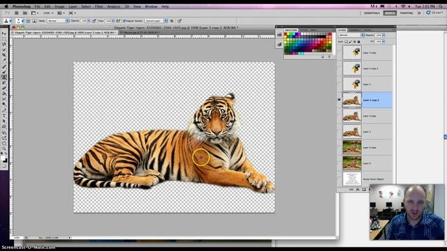 Animal Hybrid смотреть онлайн