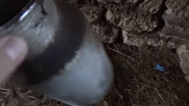 СОРВАЛ ЗАСОВ В КУПЕЧЕСКОМ ДОМЕ И ОСТОЛБЕНЕЛ! смотреть онлайн