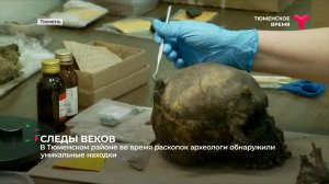 В Тюменском районе во время раскопок археологи обнаружили уникальные находки
