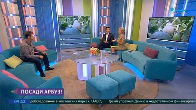 Экзотические Арбузы в Санкт-Петербурге смотреть онлайн
