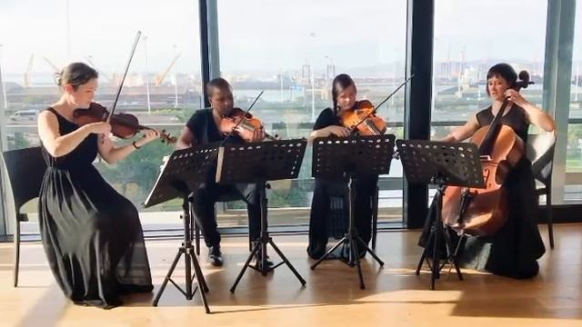 PLAY String Quartet | Perfect (Ed Sheeran)
