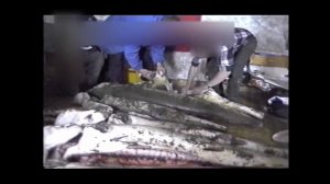 90 ые. Как выживали .  Логово браконьеров