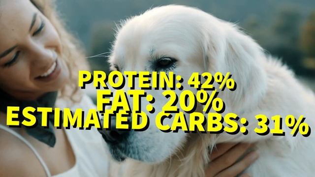 Best Puppy Food 2023 (TOP 7 Dry Kibble To Wet Food!) смотреть онлайн