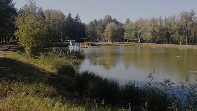 Золотая осень пришла. Омск в сентябре. смотреть онлайн