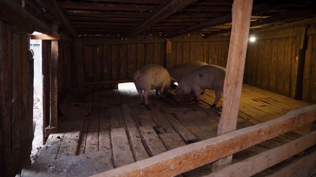 ЖИЗНЬ В УРАЛЬСКОЙ ГЛУБИНКЕ смотреть онлайн