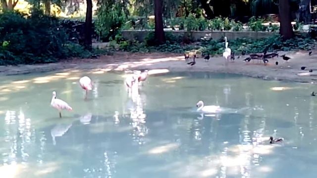 Экскурсия в Киеве для детей. Досуг детей смотреть онлайн