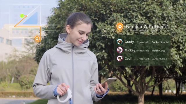 Smart LED Retractable leash смотреть онлайн