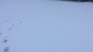 Щука в глухозимье на жерлицы где искать щуку!!!!!!!!!!