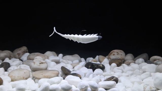 New Gulp! Nemesis Prawn Curl Tail | Watch it swim смотреть онлайн