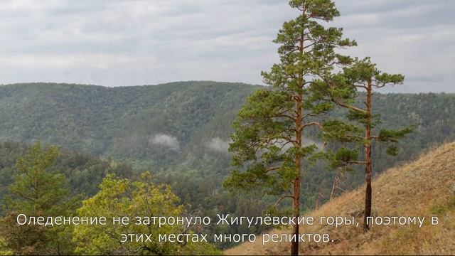 Жигулёвские горы: гора Стрельная смотреть онлайн