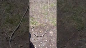 Зарядка на Мтз 80 МК(ставим генератор от москвича и реле)