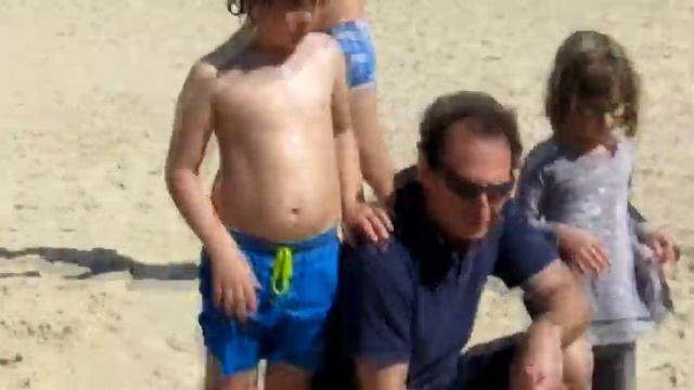 Черепахи возвращаются в море