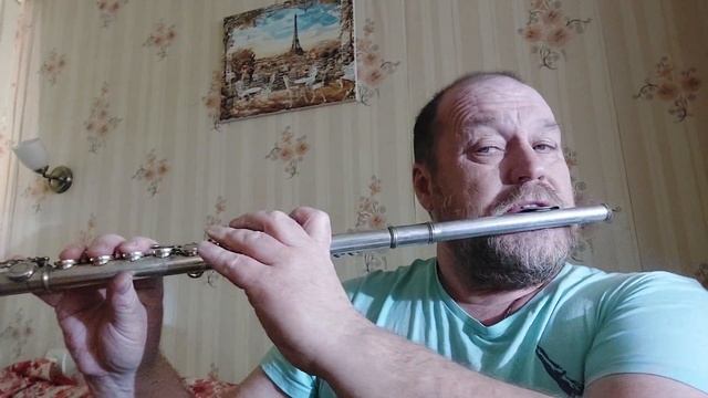 демо флейта бранер ф 300 эс. смотреть онлайн