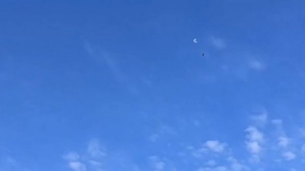 Тетеревятник атакуют голубя несколько минут!!!Замедленное видео.Goshawk V.S. Pigeon.