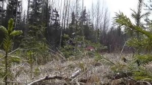 Самодельный каракат на базе ИЖ по болоту