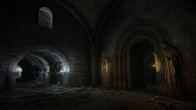 Elden Ring - Catacombs ambience смотреть онлайн