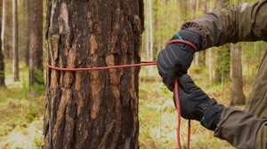 КАК ПРИВЯЗАТЬ ВЕРЕВКУ к ДЕРЕВУ  #2 | Узел Казачий | Узел Калмыцкий | Травяная петля