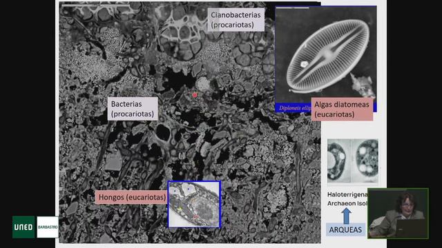 Conferencia: Importancia Del Trabajo En Equipo Y La Creatividad En La Ciencia.