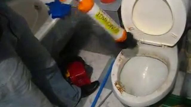 Удаление засора опилки для кота в туалете вантузом Домочист ВЗ-ПРО смотреть онлайн