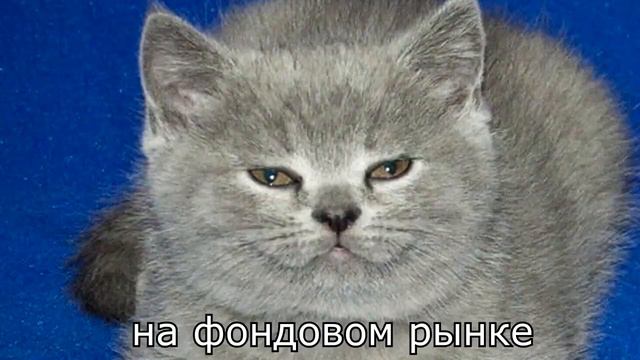 Томас и уильям смотреть онлайн