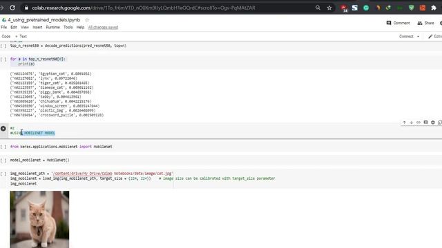 Image Prediction Using Keras Pre-trained Models Like VGG16, Resnet, Mobilenet | Transfer Learning смотреть онлайн