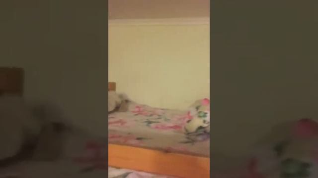 Матрас Sontelle Libre Roll 8 отзыв смотреть онлайн