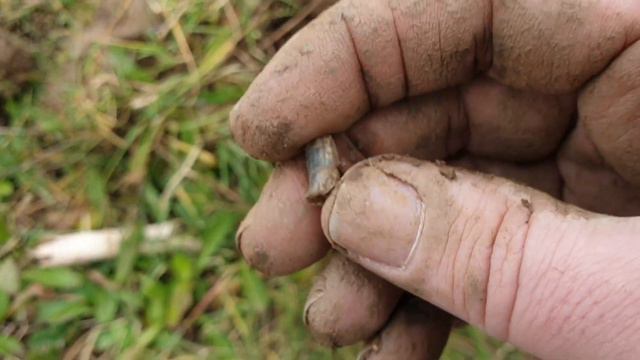 Kings Coinage Everwhere plus new settings for garrett apex #metaldetecting #garrettapex #regton смотреть онлайн