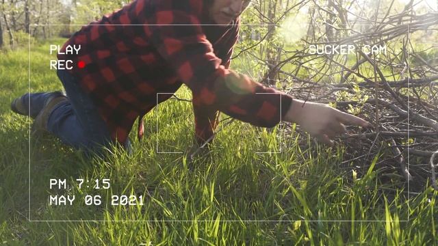 DON'T PLANT THESE FRUIT TREES!!! (7 Reasons)