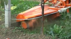 Приствольная фреза Rinieri FS
