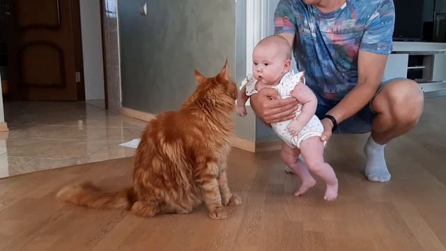 Как Мейн-кун Гарри, знакомиться с ребёнком) смотреть онлайн