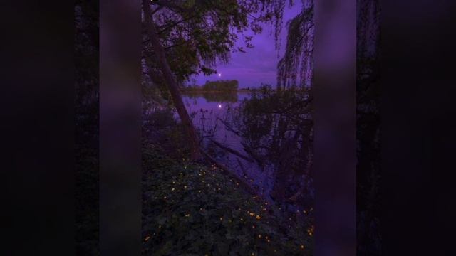 TALADRO DENİZ KIZI (2013) 1 SAATLİK