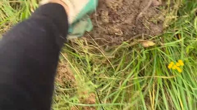 ПОХОДУ ПРИЁМЩИК МЕНЯ КИНУЛ… смотреть онлайн