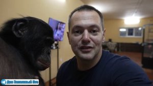 ТРОГАТЕЛЬНАЯ ВСТРЕЧА ОБЕЗЬЯНЫ и ХОЗЯИНА | Куда пропали Дан Запашный и шимпанзе Боня?