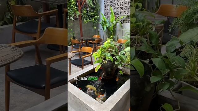 Самая дешевая страна Азии смотреть онлайн