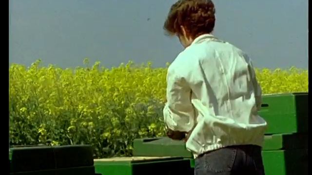 Ротационное разведение пчел смотреть онлайн