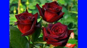 Оркестр  Дж. Ласта  -  "Маленький  человек"