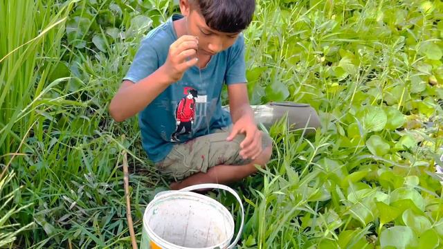 Village Fishing Video 2023 | Village Small Boy Catch Fish by Hook From Canal With Beautiful Nature смотреть онлайн