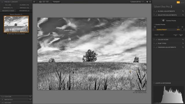 Nik Collection - Episode 3: Silver Efex Pro 2 смотреть онлайн