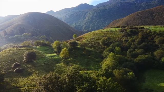 Приятная успокаивающая и красивая музыка, чтобы успокоиться и отдохнуть.