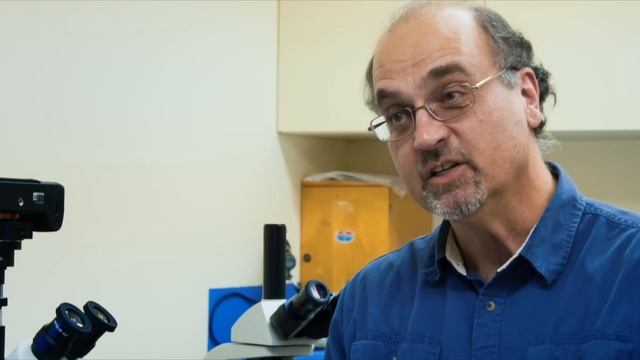 Why are Random Mutations a Problem for Evolution? - Dr. Kevin Anderson смотреть онлайн
