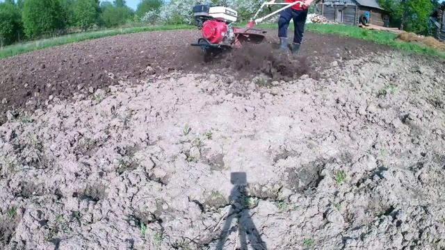 Посадка картофеля под мотоблок. смотреть онлайн