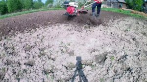 Посадка картофеля под мотоблок.
