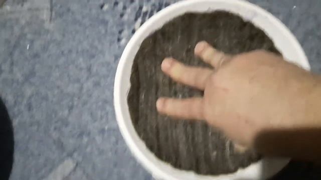 гнезда для голубей, утепление и безопасность. гипс + известь+ войлок. смотреть онлайн