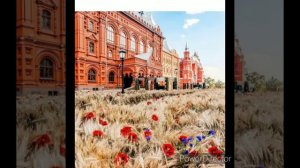 „Этот город самый ,лучший город на земле” Браво.